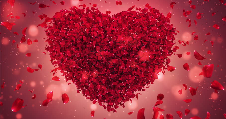 Free Valentines Day Stock Video Footage Download 4k Hd 30 Clips