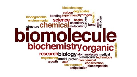 Biomolecule Animated Word Cloud Text Design Stock Footage Video (100% Royalty-free) 23619748 | Shutterstock Biomolecule Animated Word Cloud Text Design Stock Footage Video (100% Royalty-free) 23619748 | Shutterstock