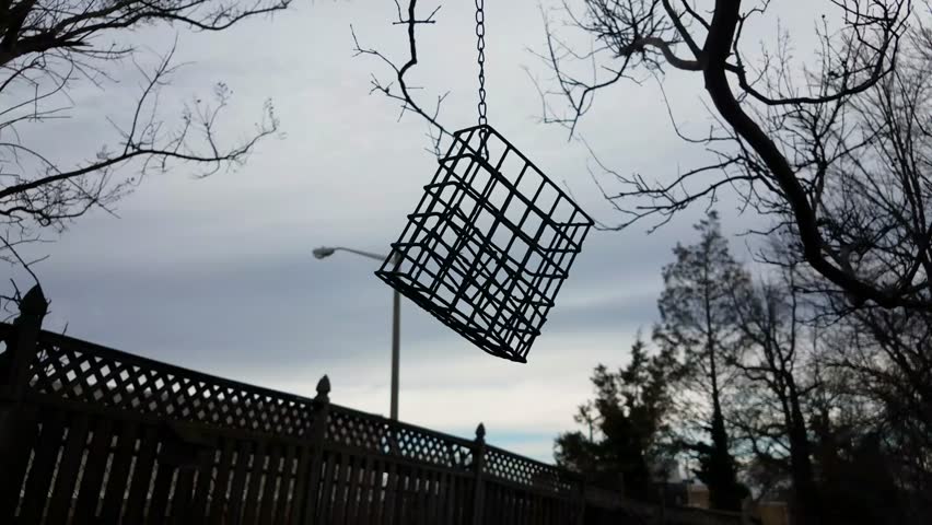 Header of suet