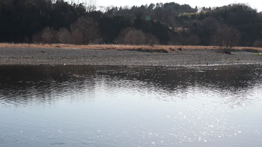 Header of Tama