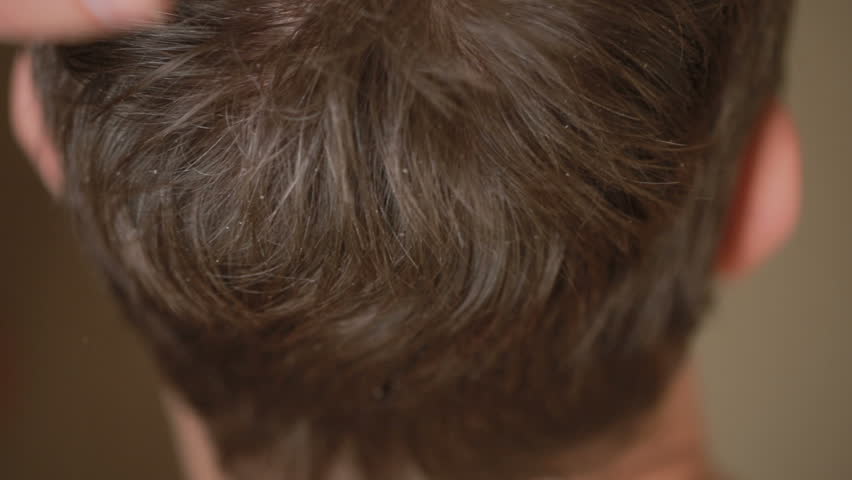 Young Boy's Hair Being Cut With Hair Cutting Machine Stock 