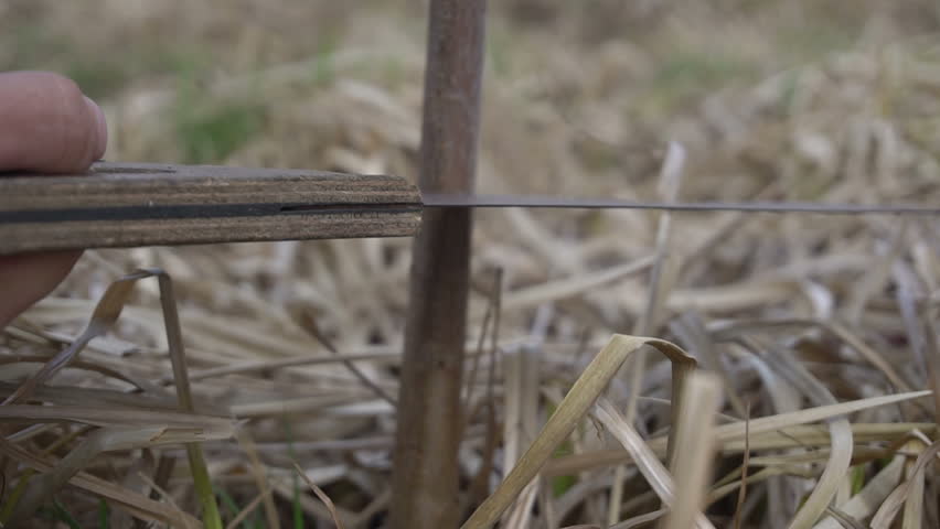 Header of grafting