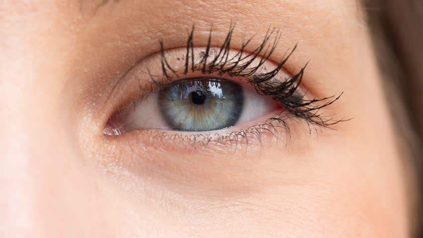 Blue Human  Eye  Beauty Macro Close up Woman Eye  Blinking 