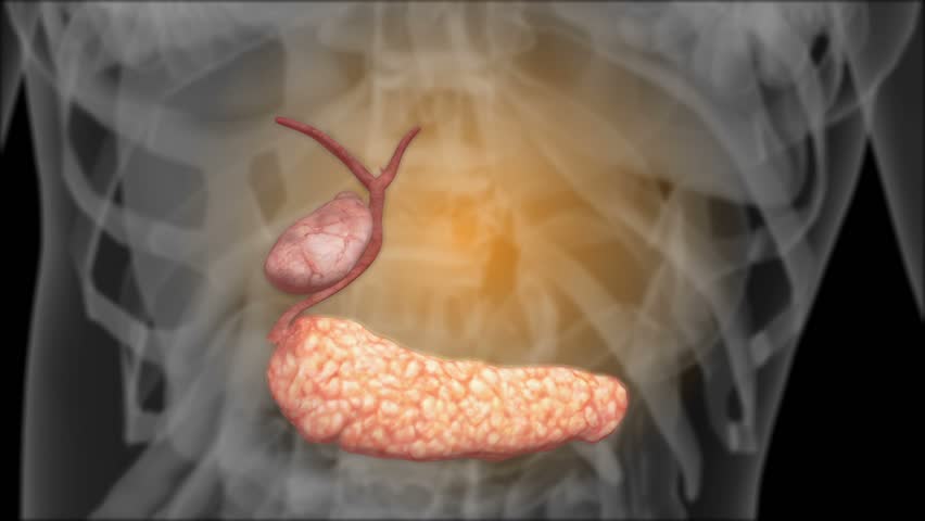 Header of biliary