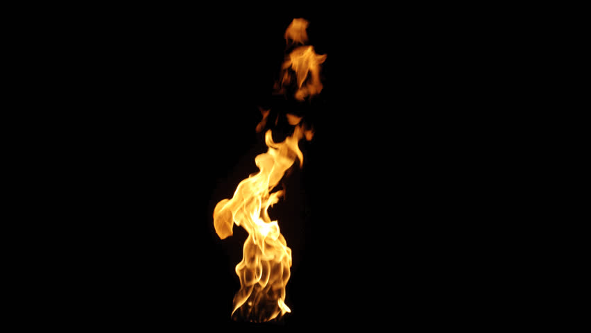 Real Fire Flame With Alpha Stock Footage Video 100 Royalty Free 25639778 Shutterstock - 