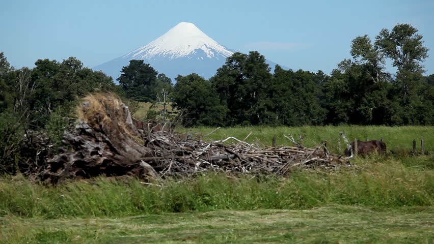 Header of Osorno