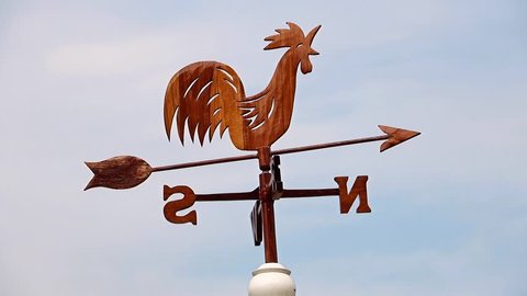 Image result for wind direction indicator hen