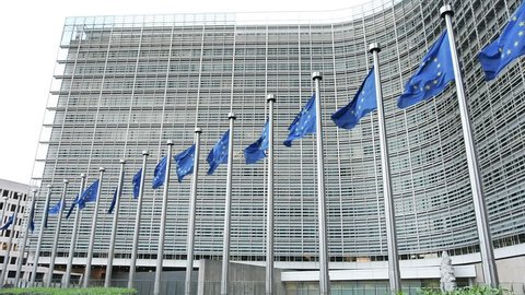 European Union Flags Waving In Stock Footage Video 100 Royalty