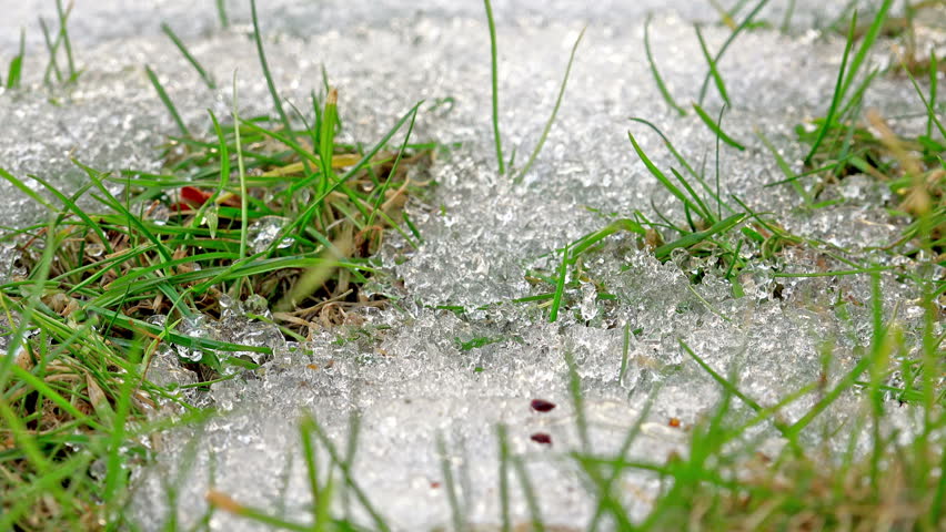 Header of thaw