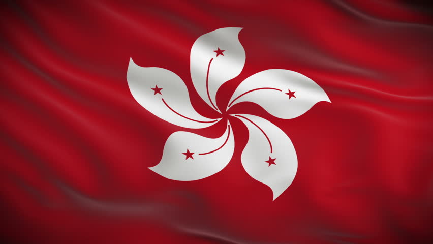 Image result for hongkong flag