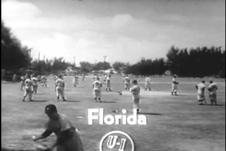Header of DiMaggio