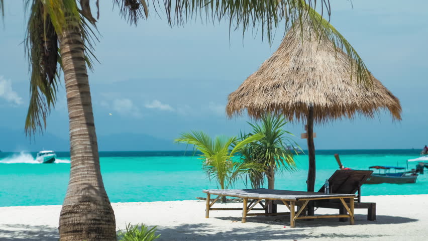 Beach Chairs Umbrella And Palms Stock Footage Video 100