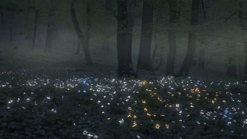 Header of phosphoresce