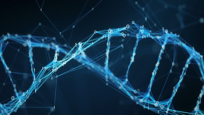 Dna Visuals Ug, Wolfhagen – DNA Visuals UG (haftungsbeschränkt) Bonität ...