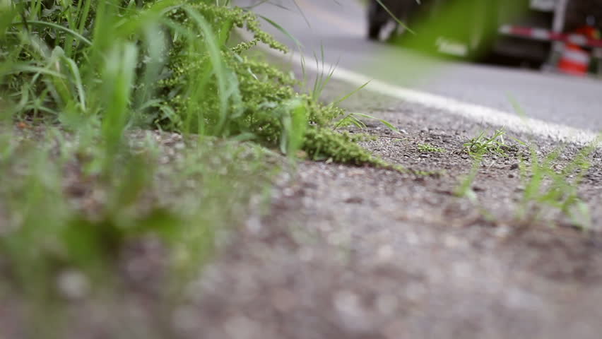 Header of wheeler