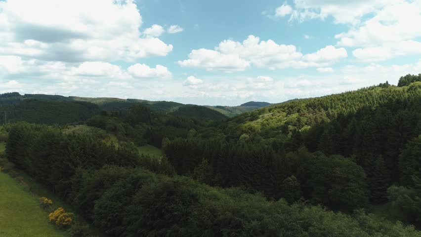 Header of greeny