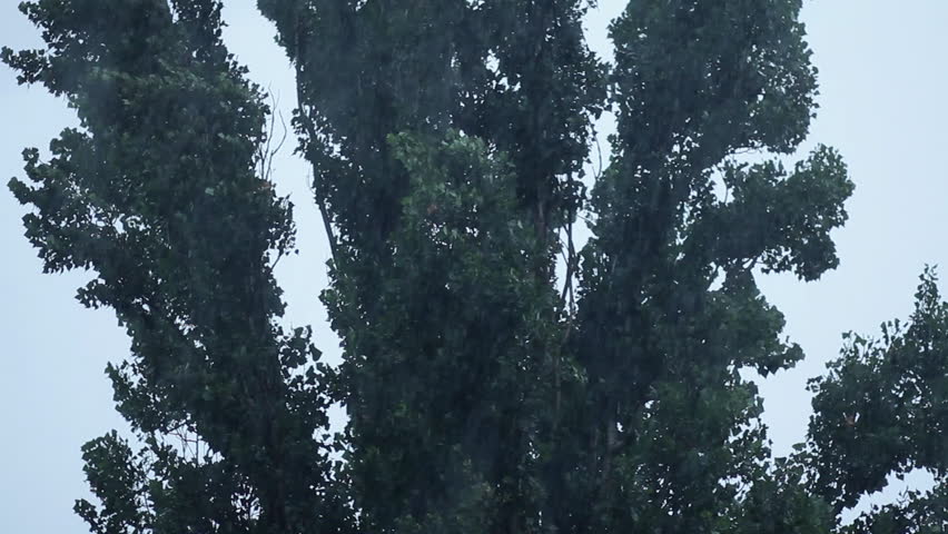 Rain Showers Weather Rain Showers Weather
