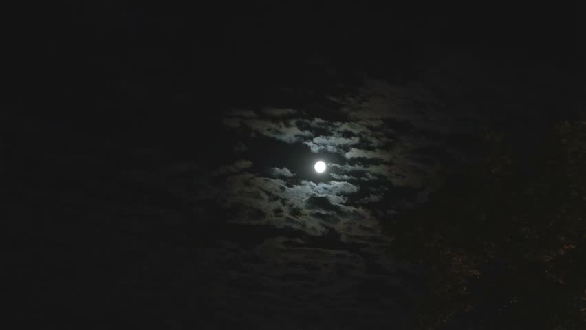 Full Moon In The Night Arkivvideomateriale 100 Royalty Fritt