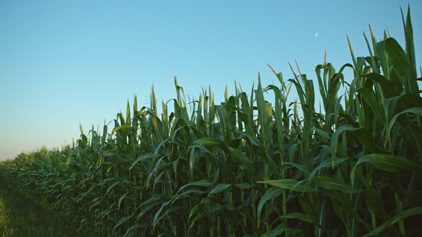 Header of fodder