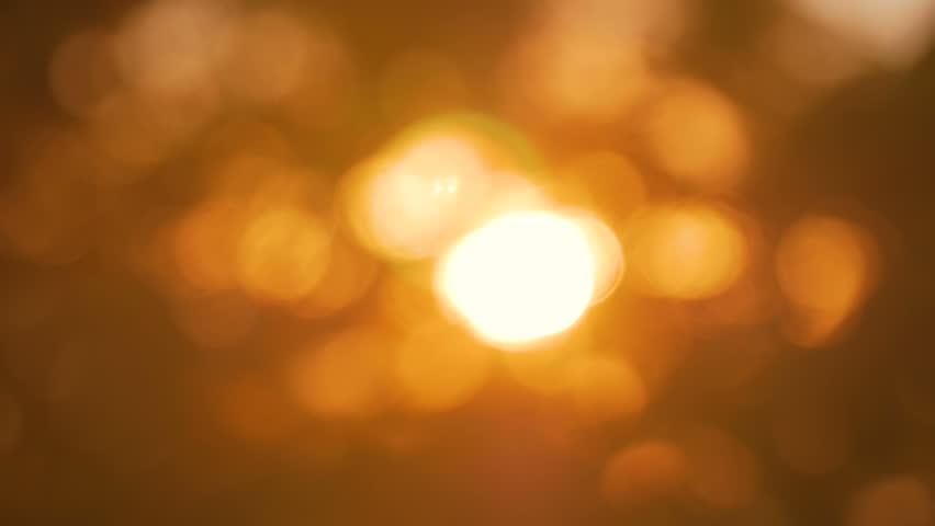 Video de stock de abstract nature bokeh background. sunset light