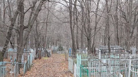 весенний цвет кладбище. цветы растущие на могилах. самара кладбище спасское рубежное. цветы на кладбище. кладбище весной.