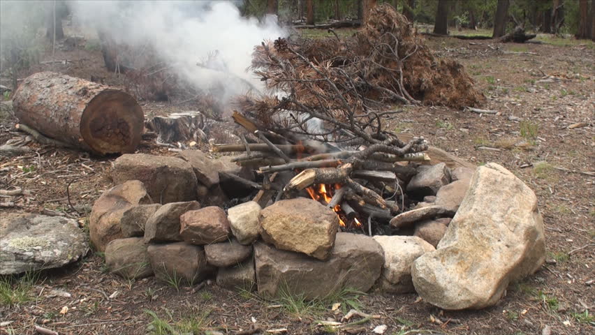 Starting Camp Fire Using Forest Stock Footage Video 100