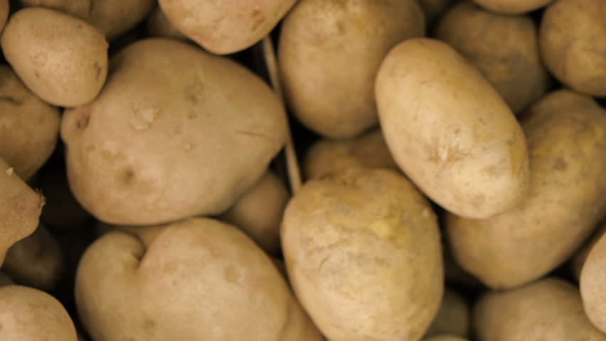 Header of russet
