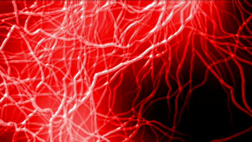 vascular system & blood.