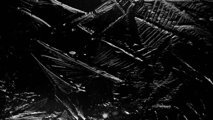 Header of frozen