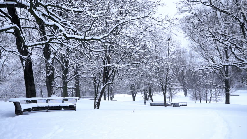 Snow Falling On Trees Snow Falling On Trees