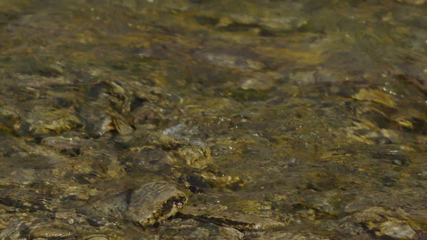 Header of bedrock