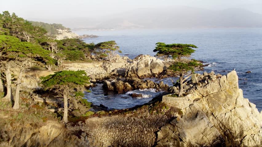 Lone Cypress, Pebble Beach, California загрузить