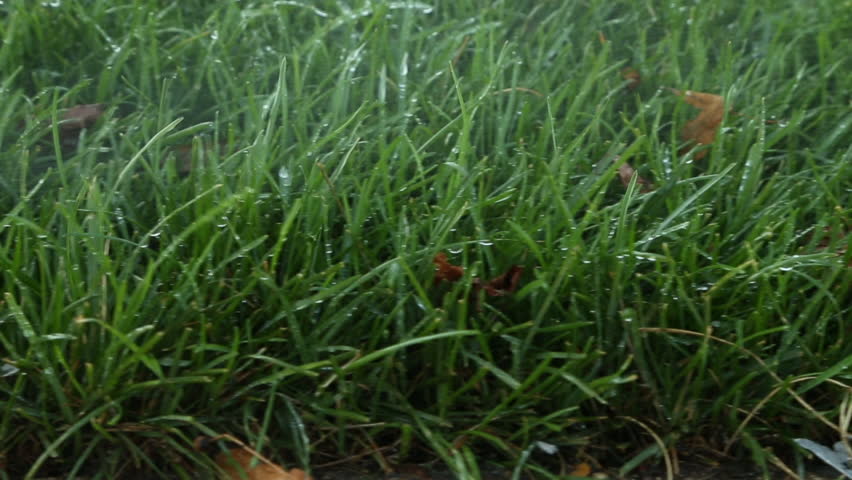 Header of sprinkler