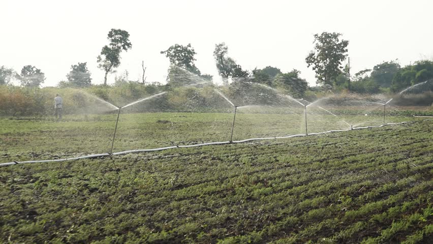 Sprinkler Irrigation For Crop Stock Footage Video 16128970 | Shutterstock