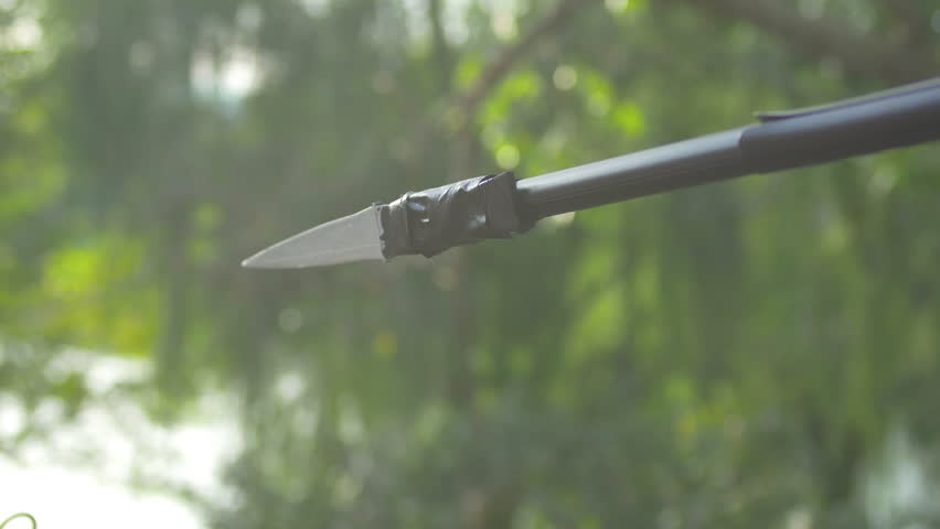 Header of spear