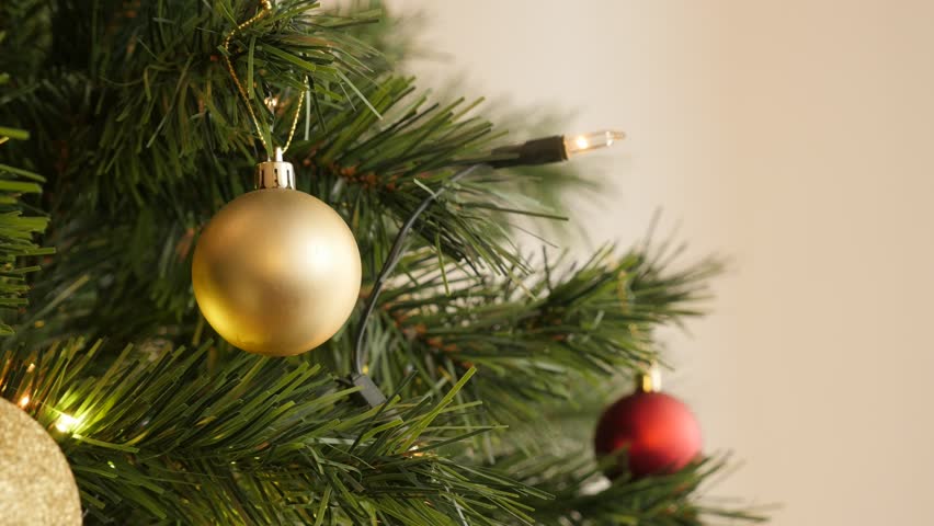 Amazing Christmas Tree Fairy Lights #1: 12.jpg Amazing Christmas Tree Fairy Lights #1: 12.jpg
