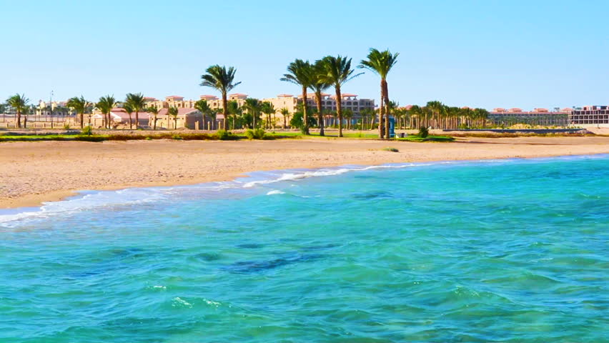 Header of hasheesh