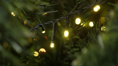Decorative String Lights Hanging In Stock Footage Video 100