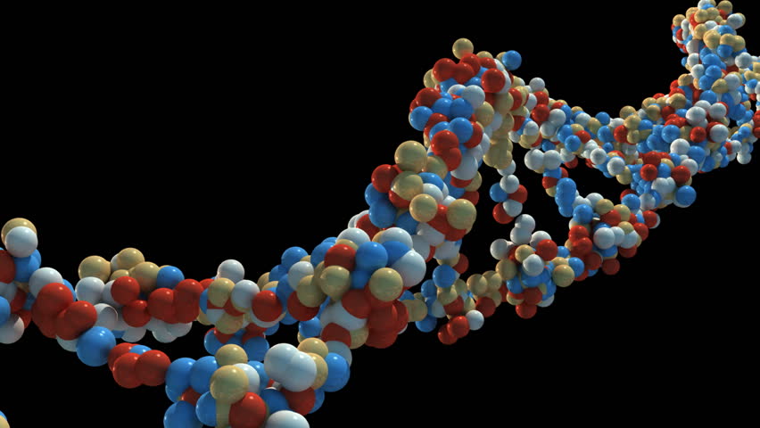 DNA Strand Stock Footage Video 529609 | Shutterstock