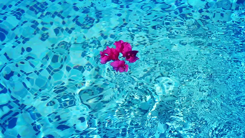 Pool Water Hd blue water swimming pool, water texture motion background stock Pool Water Hd blue water swimming pool, water texture motion background stock