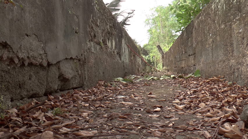 Header of untravelled