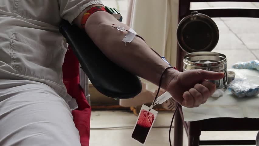 Urinary System Diagram Stock Footage Video 1270279 | Shutterstock