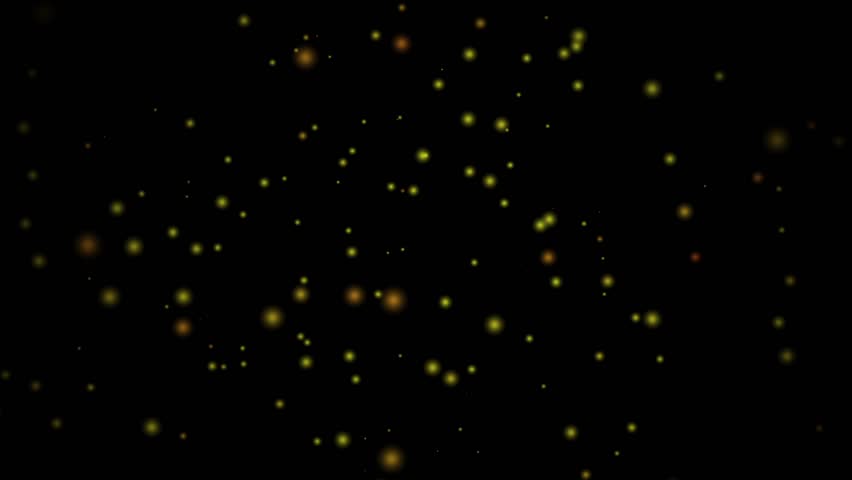 Stock video of fast motion of a bright firefly | 6162428 | Shutterstock