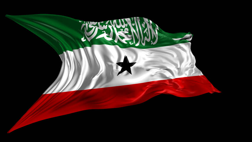 Stock video of flag of somaliland beautiful 3d animation ...