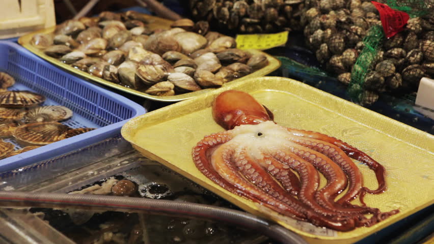 Fresh Fish Market Stock Footage Video Shutterstock fresh fish market stock footage video