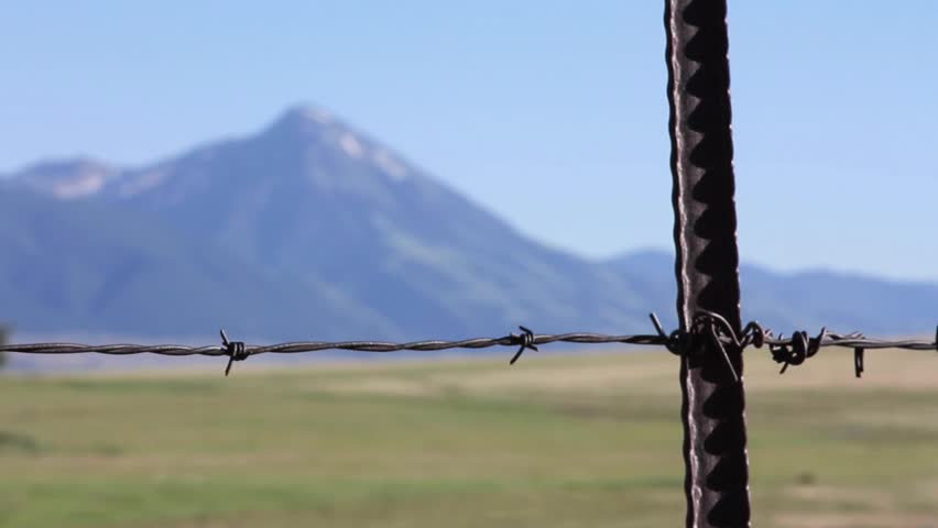 Barbed Wire Fence On Farm Barbed Wire Fence On Farm