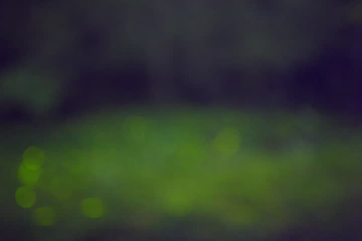 Header of glowworm