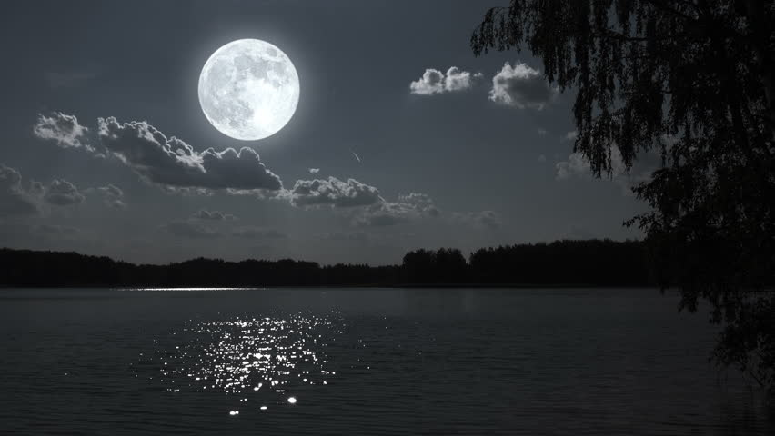 Nature Full Moon Night Landscape With Forest Lake. Stock Footage Video ...