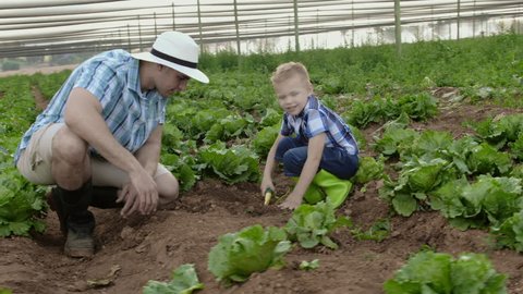 Farmers father save the innocence