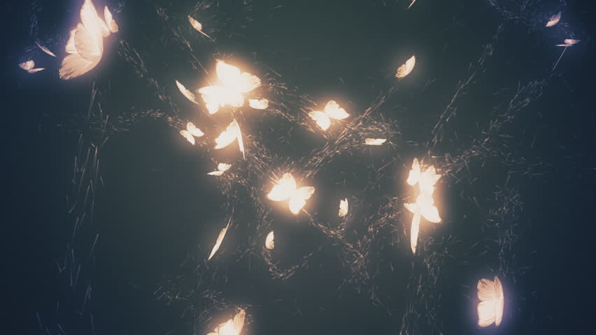 download glow worm butterfly download glow worm butterfly